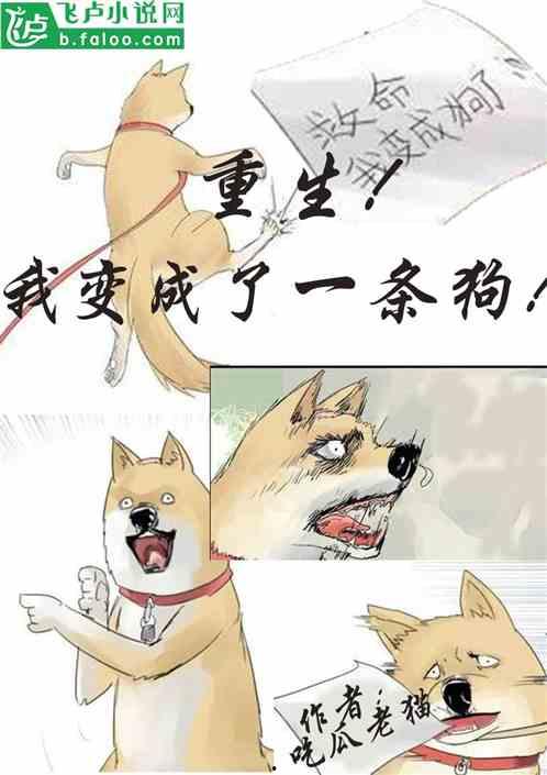 娱乐圈吃瓜小狗小说免费阅读